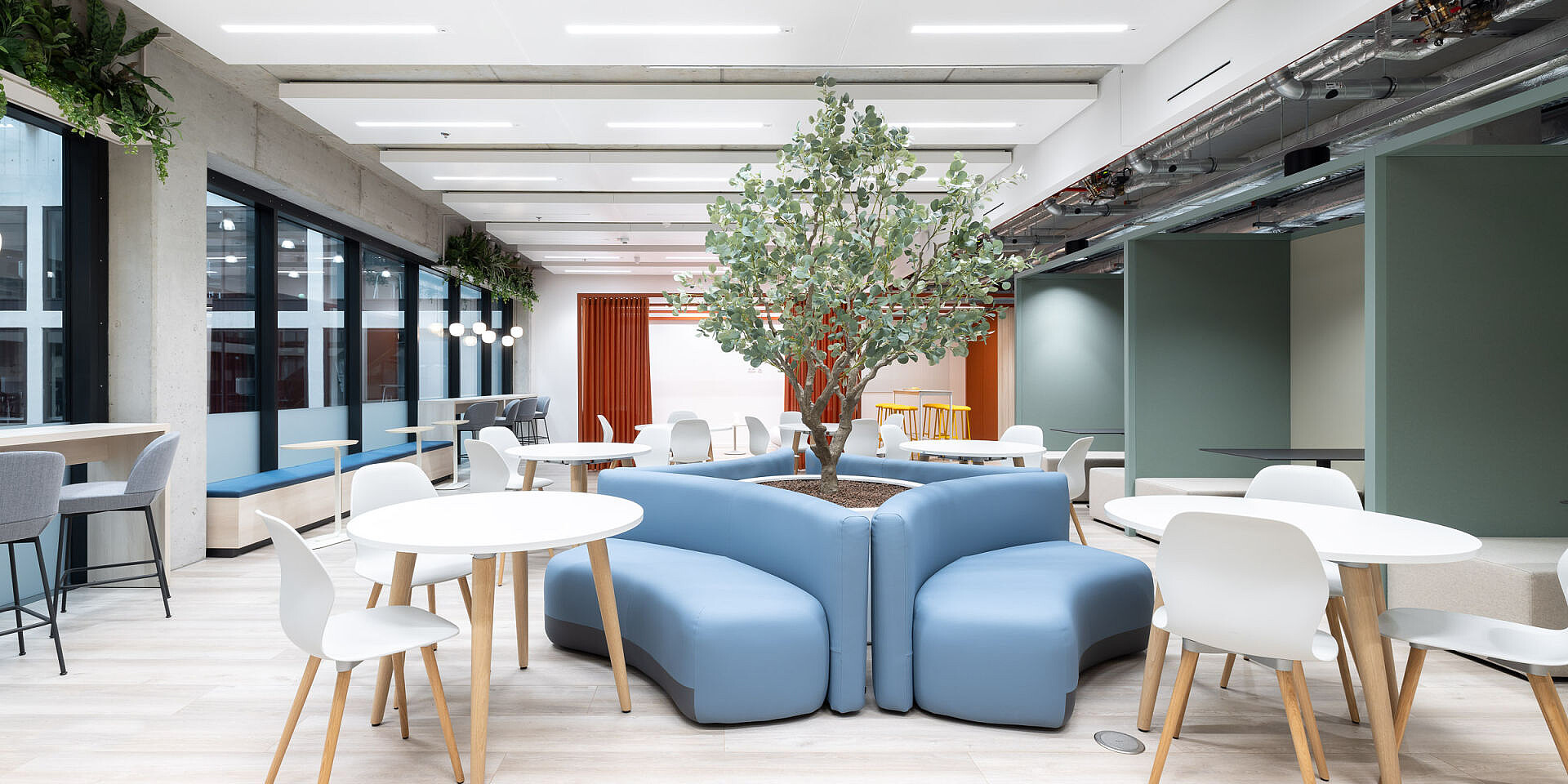 Bright canteen with white round tables, blue se:spot design chairs and a central tree in a blue seating unit, modern furnishings at Veolia.