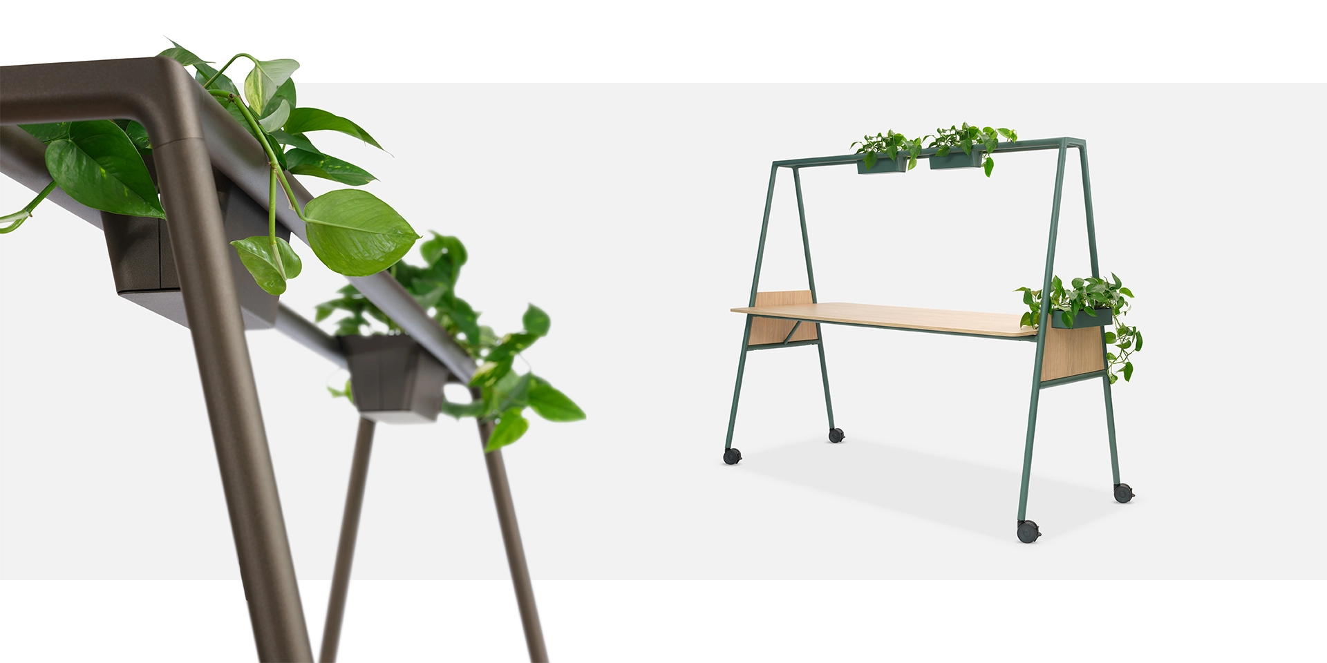 Planter for the third layer