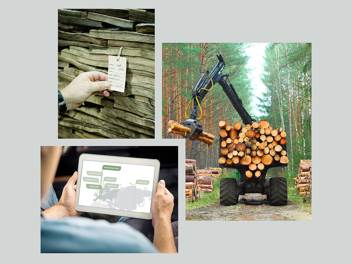 Hand holding a tag on stacked wood, forestry machine loading logs, and person viewing a map with labeled locations on a tablet, illustrating Sedus Stoll AG's commitment to Science Based Targets for climate action.