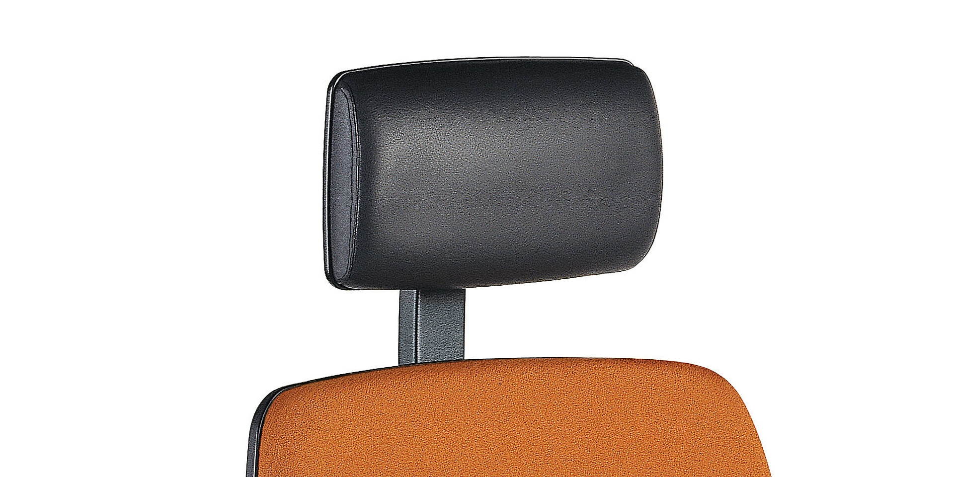 Neck support