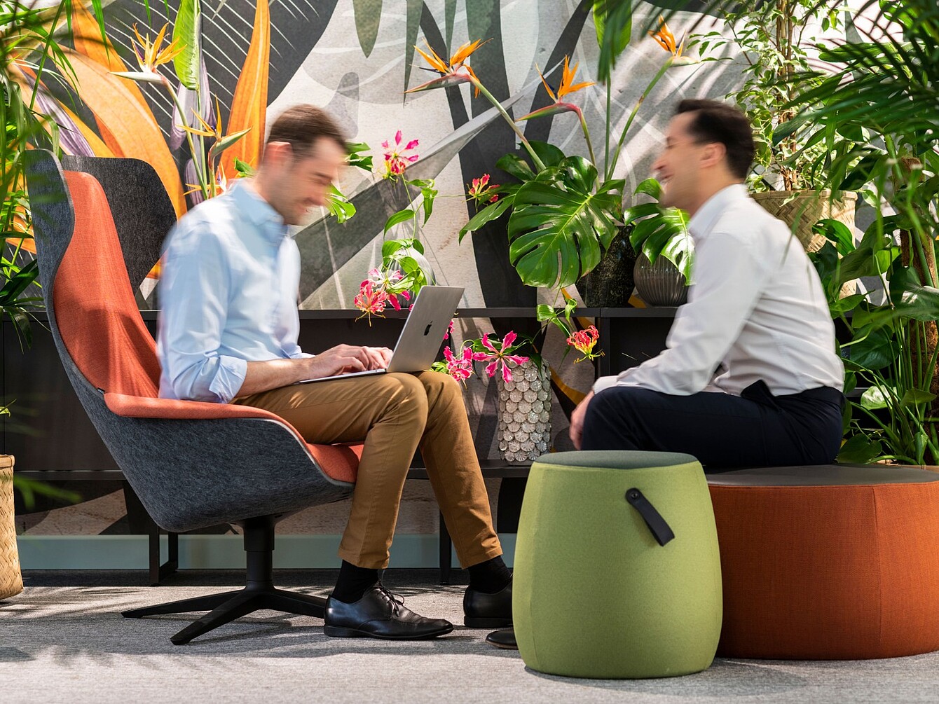 Two people sitting in a plant-filled office space with one using a laptop and the other facing them across a low table