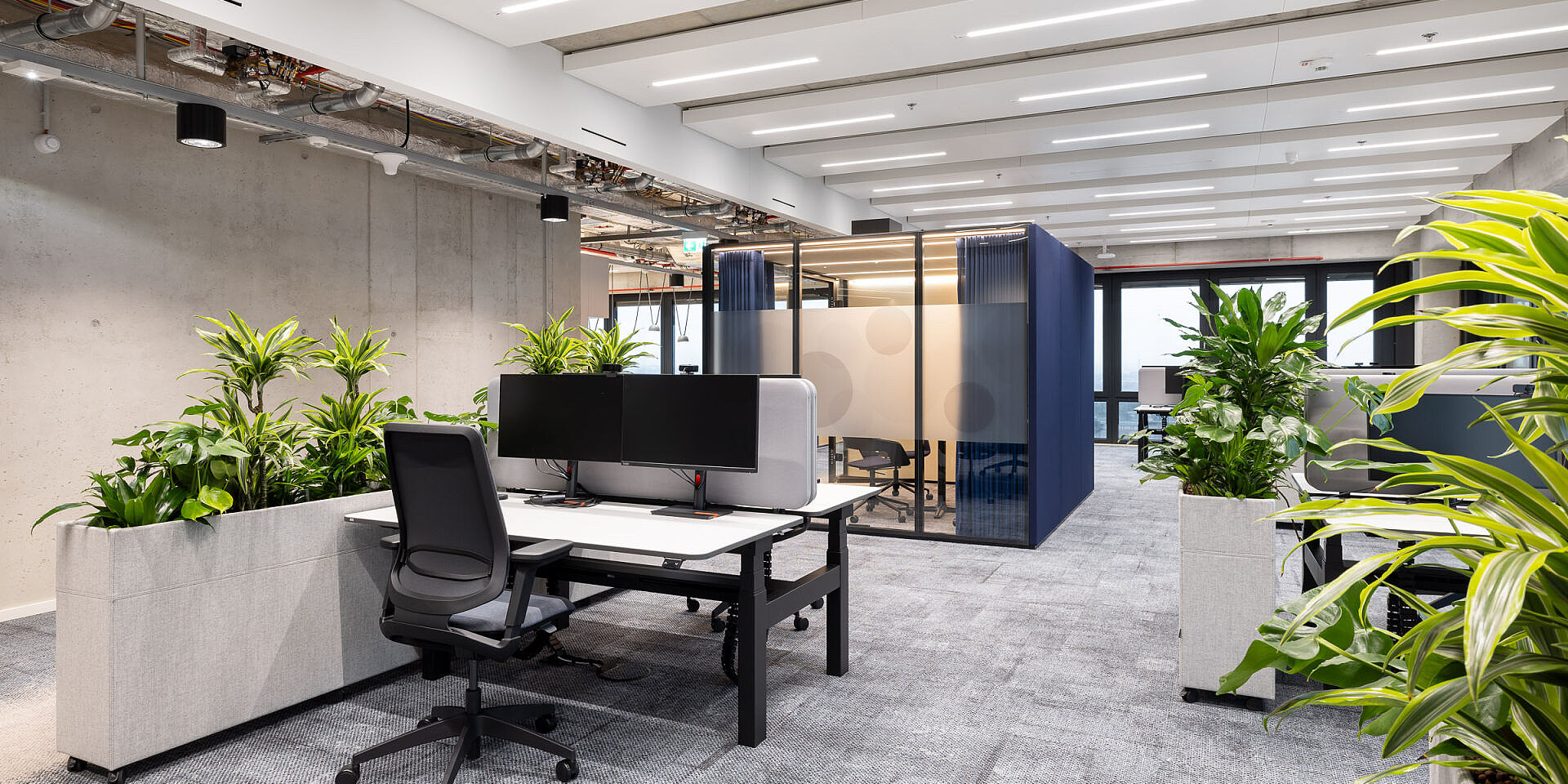 Modern office with height-adjustable temptation c desks and se:flex office swivel chairs, plants and partition walls for ergonomic working.