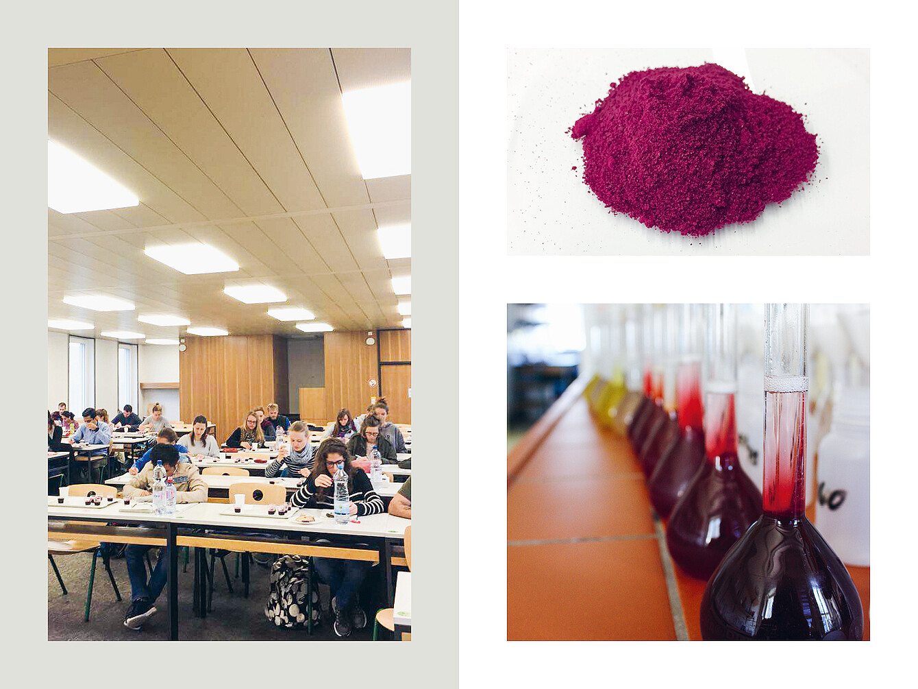 Lecture hall with students seated at desks using laptops and notebooks. Pile of red beetroot powder on a white surface. Laboratory glassware with dark red liquid in flasks arranged in a row on a counter.