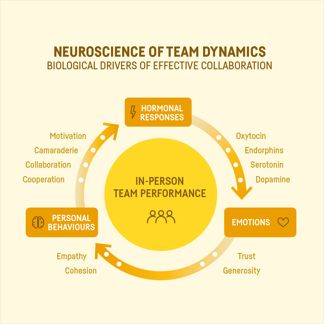 neuroscience of team dynamics graphic