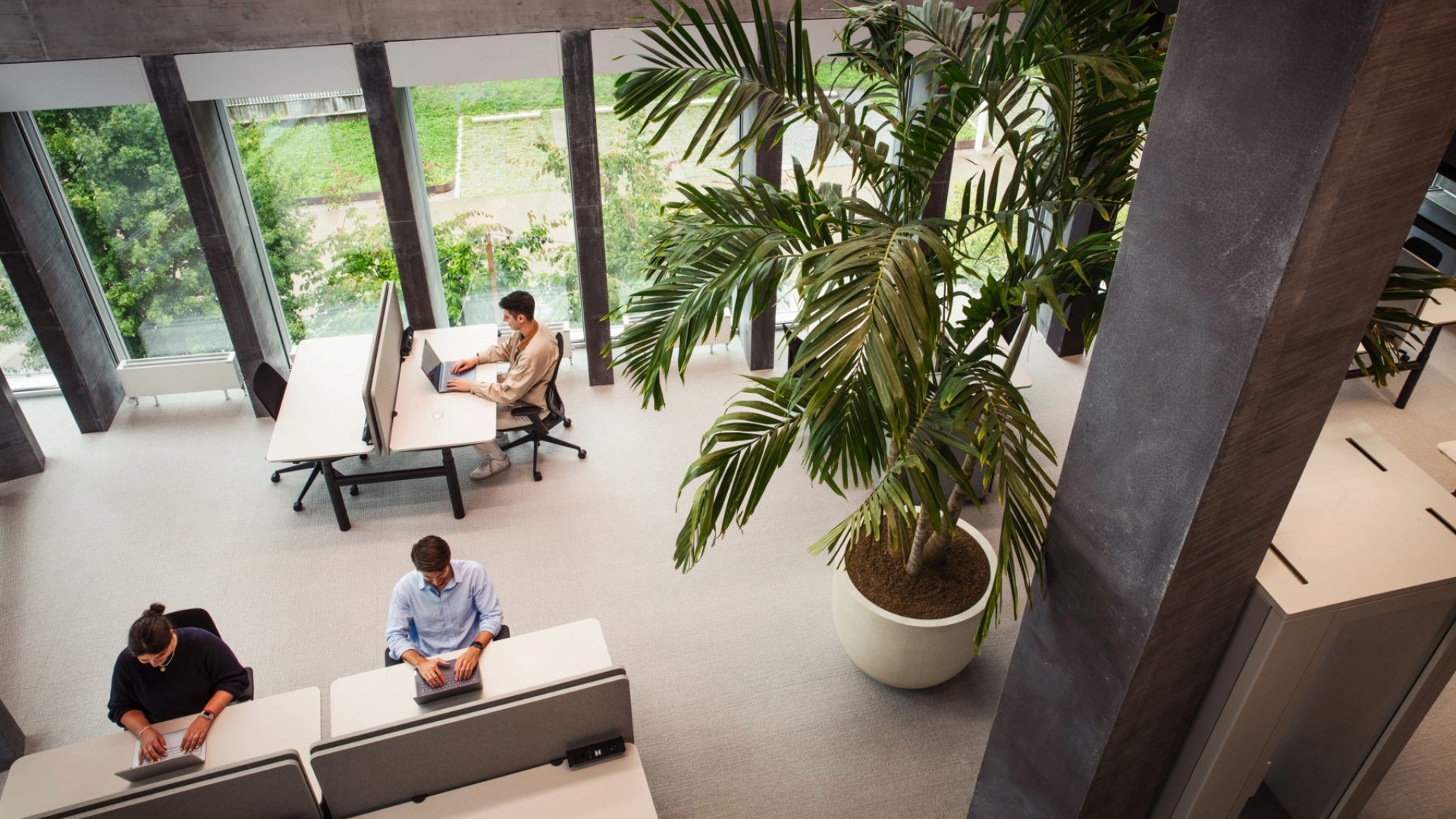 Why Sedus: The Novu Campus in Zurich